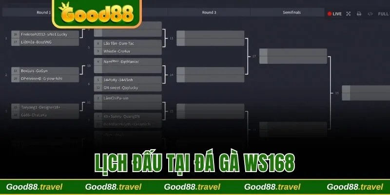 Lịch đấu tại Đá gà WS168