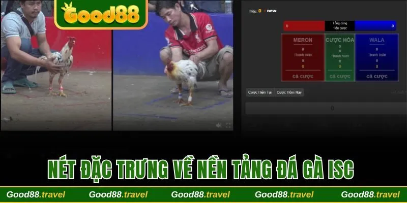 Nét đặc trưng về nền tảng đá gà ISC